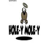 Hole-y Mole-y Pest Control - Pest Control in Sapulpa