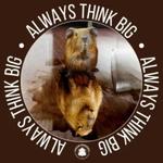 LOFTY CREATIONS APPAREL LTD - photo 2