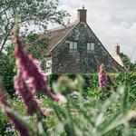 Thornfalcon Winery & Press - photo 1