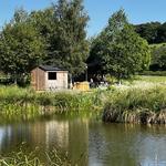 Thornfalcon Winery & Press - photo 6