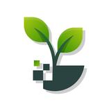 HopeSpring Digital LLC