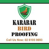 Karabar Bird Proofing - Pest Control in Karabar
