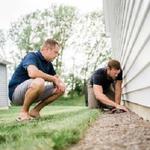 Bamboo Pest Control Servicing - photo 2