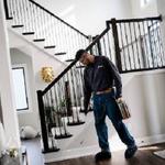 Bamboo Pest Control Servicing - photo 5