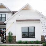 Bamboo Pest Control Servicing - photo 6