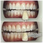 The Art of Dental Wellness - photo 1