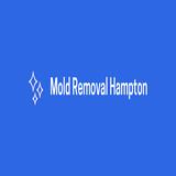 Mold Removal Hampton - Home Services in Hampton
