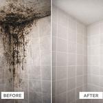 Mold Removal Hampton - photo 1