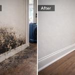 Mold Removal Hampton - photo 2