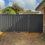 Stag Fencing - photo 1