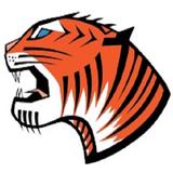 Tiger C Construction, LLC - Construction Equipment in Chester