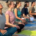 AYS 200 Hour Yoga TTC - photo 3