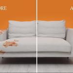 All Ways Organic CT - photo 1