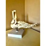 Advantage Physiotherapy - photo 1