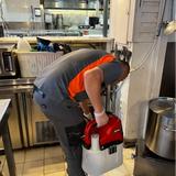 Plagas Estepona Bioadal - Pest Control in Malaga