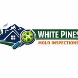 White Pines Mold Inspections - Home Inspectors in Topsham
