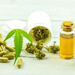 Mellow Weed UK Dispensary  - photo 1