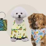 Impressiful - photo 1