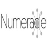 Numeracle - Professional Services in McLean