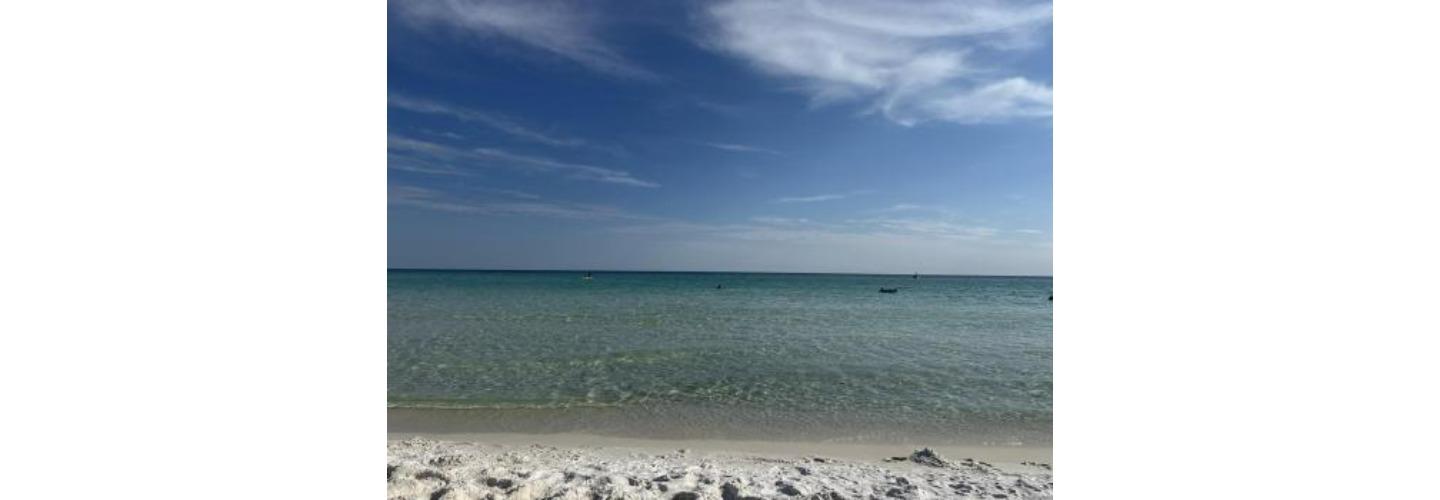 Beach Coast Golf Cart Rental cover photo