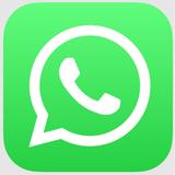 thsawappcom - Leather Goods in Chino