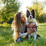 Animal Emergency Care - photo 1