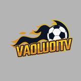 vaoluoitvpro2 - Pan Asia in Asheville