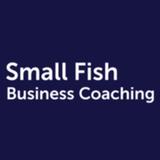 Small Fish Business Coaching - Professional Services in Brunswick Heads