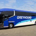 Greyhound - photo 1