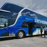 Greyhound - photo 3