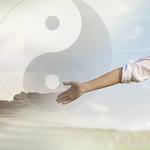 Harvard Square Shiatsu - photo 4