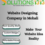 Web Design Company Mohali - photo 1