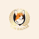 Vom Ragnar Welsh Pembroke Corgi