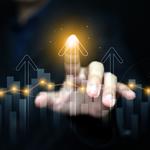 Lion Investments - photo 1