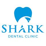 dental care services in Vietnam