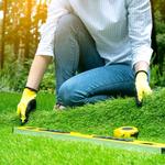 Wichita Falls Green Turf - photo 3