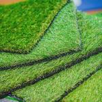 Wichita Falls Green Turf - photo 4