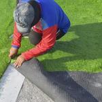 Wichita Falls Green Turf - photo 5