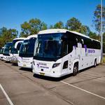 Brighton Tours - photo 2