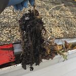 True Exterior Services, LLC - photo 2