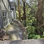 Luna Gutter Cleaning & Roof Maintenance - photo 1