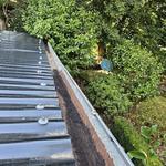 Luna Gutter Cleaning & Roof Maintenance - photo 4