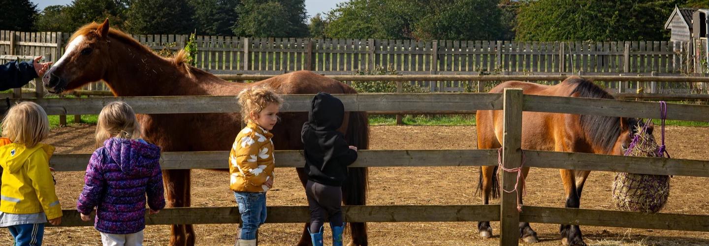 Manor Farm Nursery