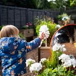Manor Farm Nursery - photo 3