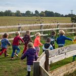 Manor Farm Nursery - photo 4