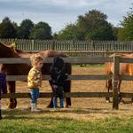 Manor Farm Nursery - photo 5