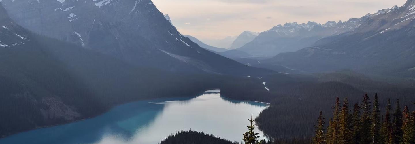 Rock Springs Psychological Testing Center  cover photo