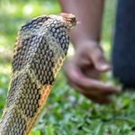 Smartlink Training PTY LTD - photo 1