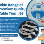 dss international - photo 4