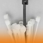 dss international - photo 5